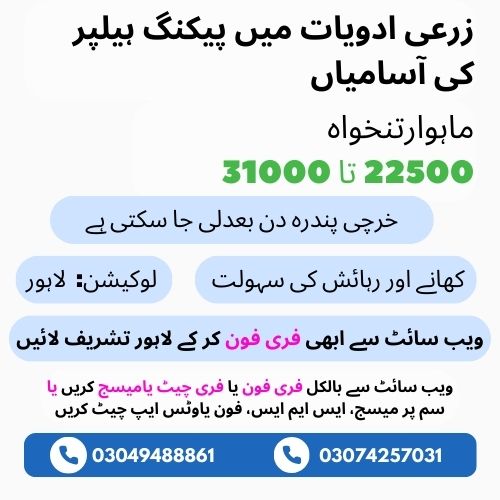 Agriculture Medicines Factory Jobs in Lahore Pakistan Rozgar Office